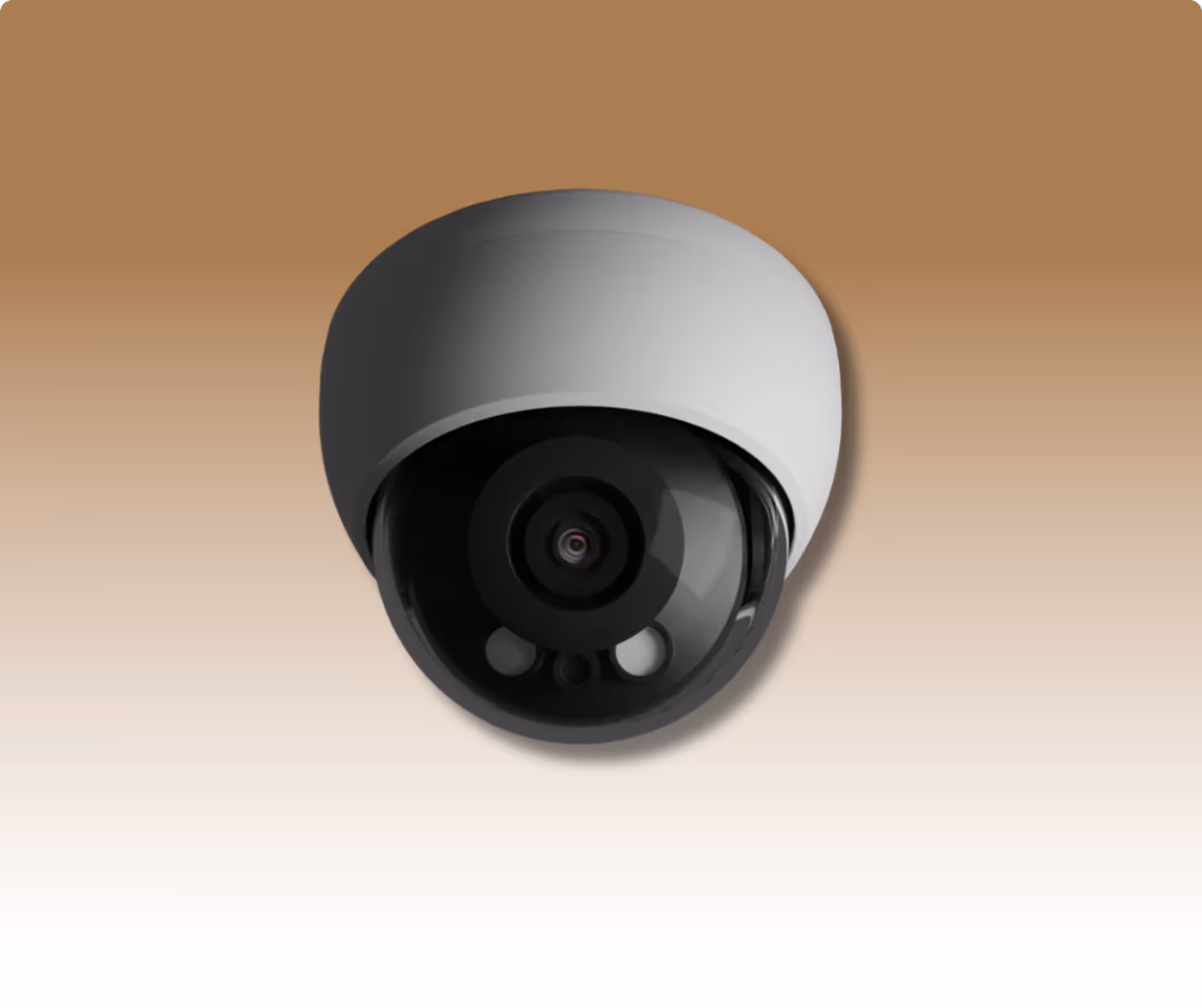 camera type dome pour surveiller intérieur d'un commerce