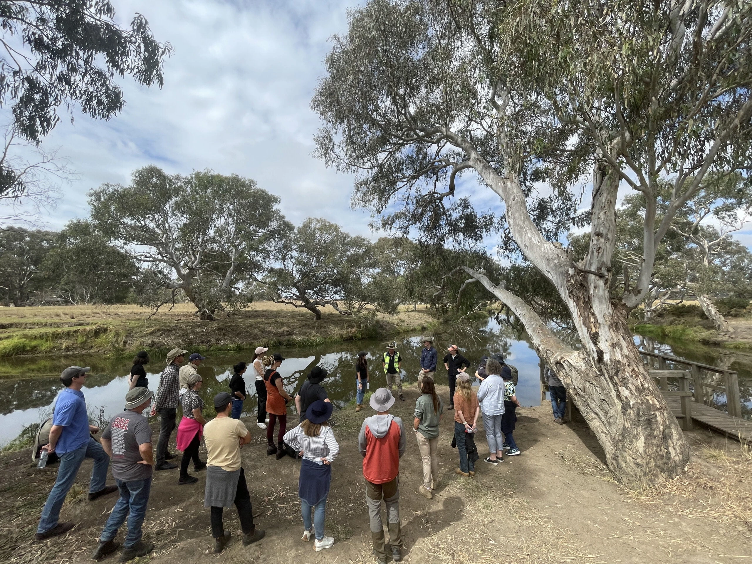 Group of people gathered near a riverbank surrounded by large eucalyptus trees on a partly cloudy day.