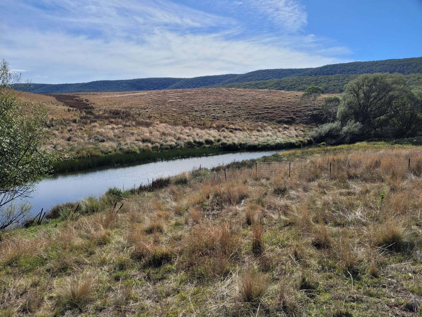 Pastureland with dry grass, a calm river curving through the center, scattered trees, and hills in the background under a partly cloudy sky.