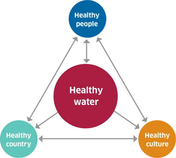 Diagram with a large central maroon circle labeled 'Healthy water' connected by lines to three smaller circles labeled 'Healthy people,' 'Healthy country,' and 'Healthy culture.'