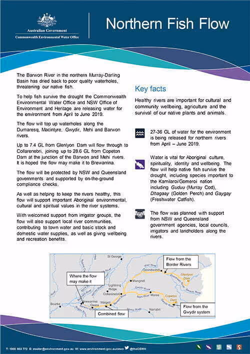Informational fact sheet by Australian Government Commonwealth Environmental Water Office about Northern Fish Flow detailing water release from April to June 2019 to support native fish in northern Murray-Darling Basin rivers, with a map showing flow sources and paths.