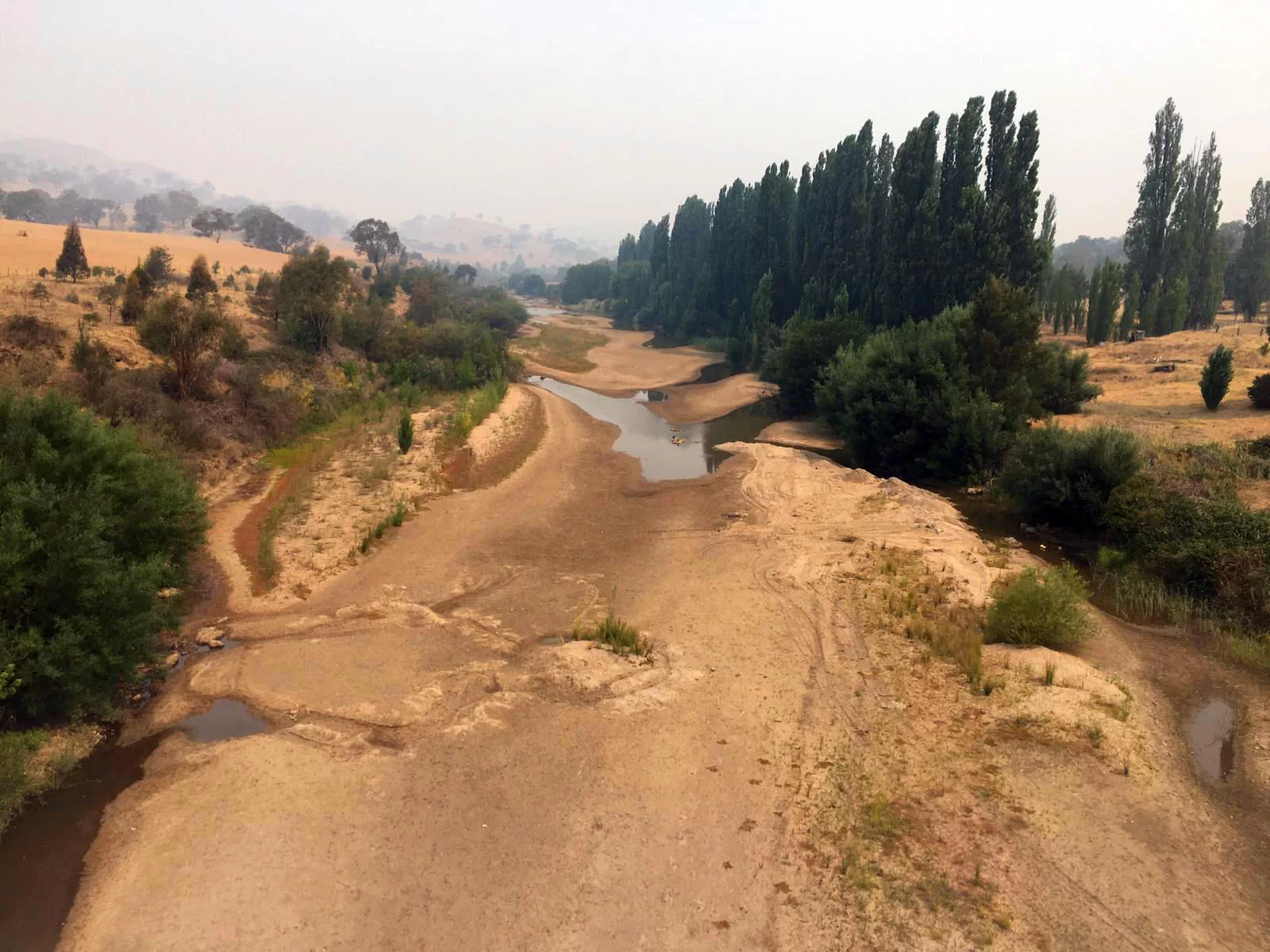 Dry riverbed with sparse water flow surrounded by dry vegetation and tall green trees under a hazy sky.
