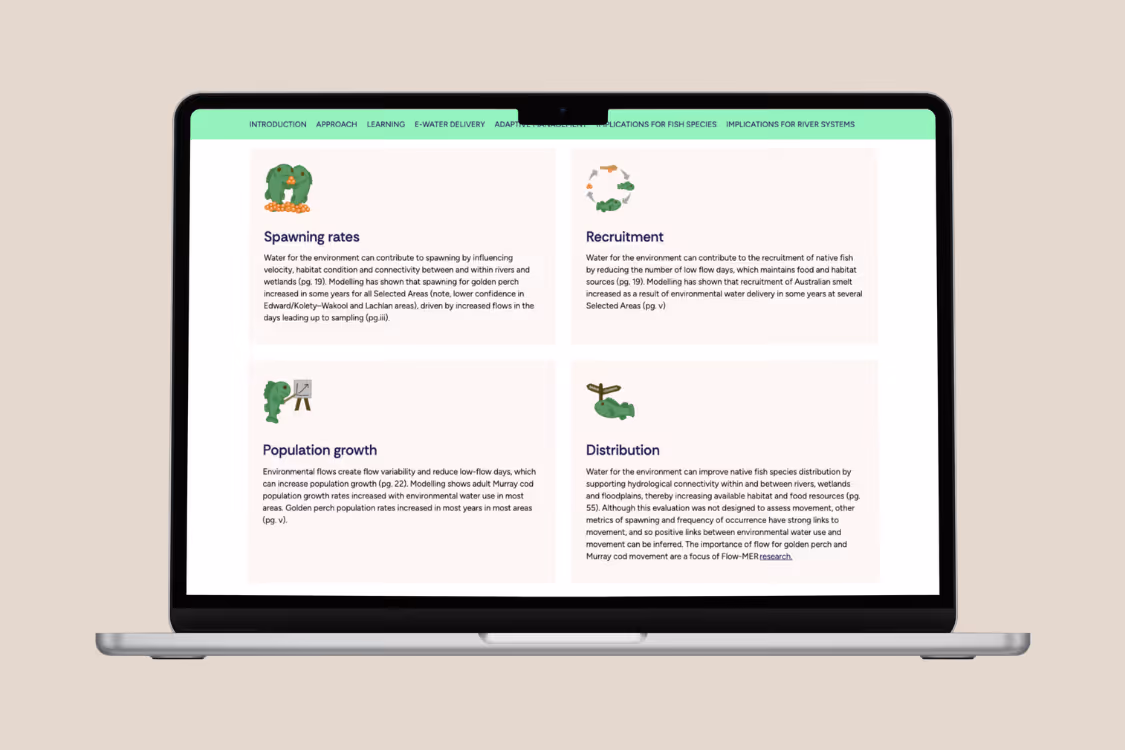 Laptop screen displaying a webpage with sections on water's impact on fish species: Spawning rates, Recruitment, Population growth, and Distribution, each with related icons.
