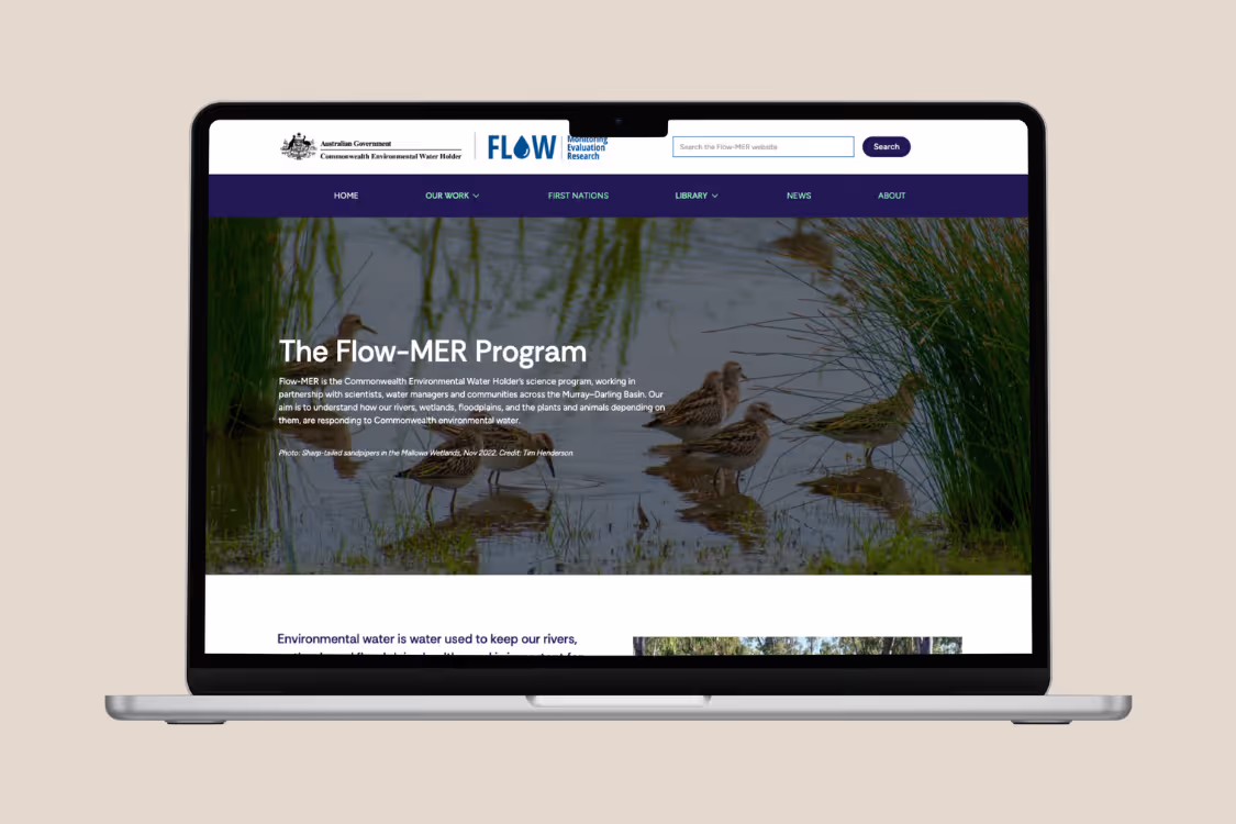 Laptop displaying the Flow-MER Program webpage with an image of sharp-tailed sandpipers in wetlands.
