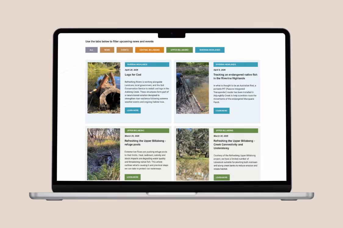 Laptop screen showing a webpage with tabs to filter news by categories and four news articles about river conservation and fish habitat projects.