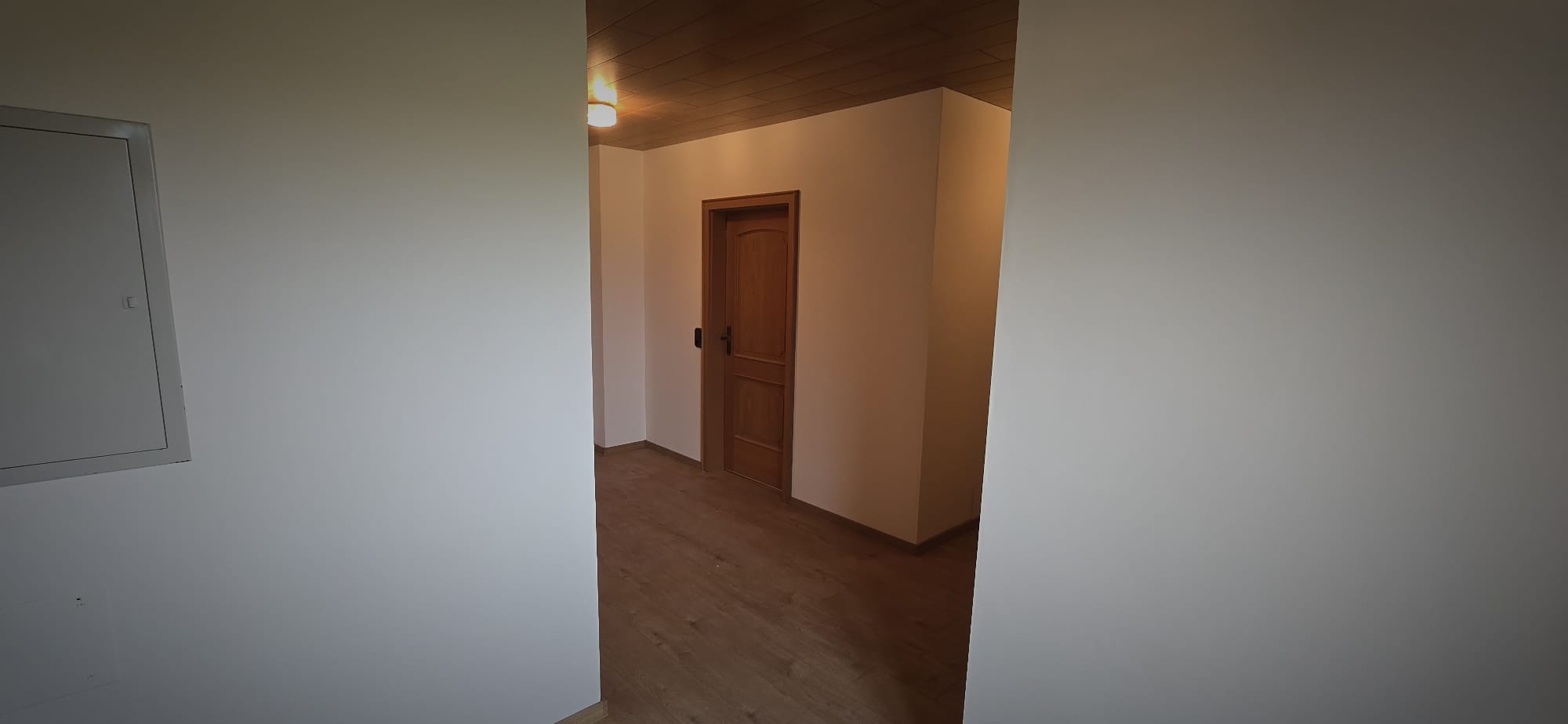 Empty hallway with wooden floor, white walls, wooden door, and ceiling light.
