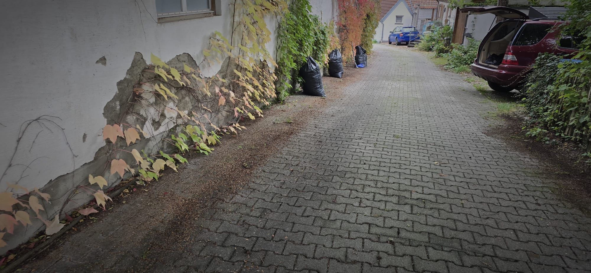 Narrow paved alley with walls covered in climbing vines and several black garbage bags lined against one side, a red car with its trunk open is parked on the right.