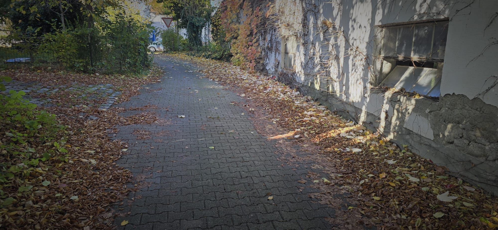 Narrow paved pathway bordered by dry fallen leaves, with a weathered building wall on the right and dense greenery on the left.