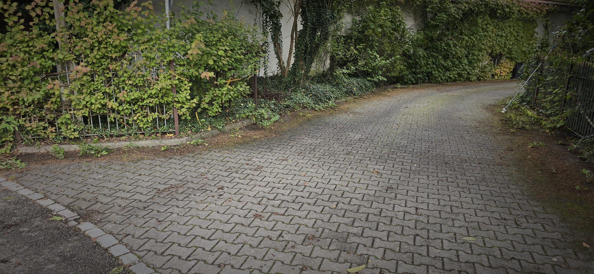 Curved cobblestone driveway bordered by dense green foliage and metal fences on both sides.