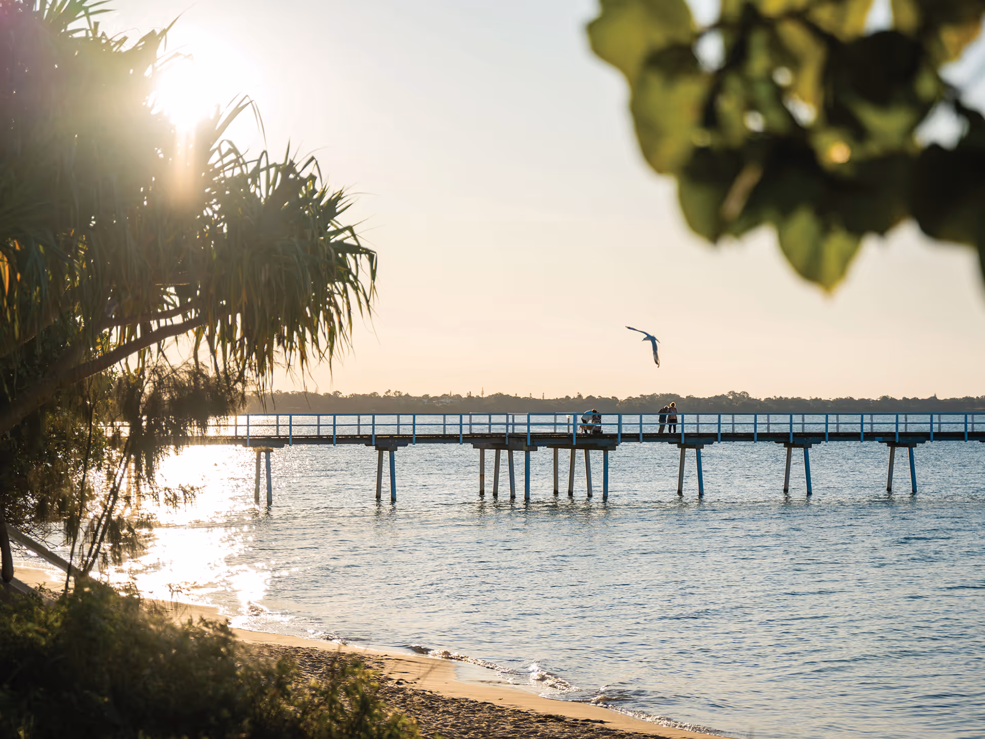 People walking along a timber pier at sunset with calm water and trees framing the scene.