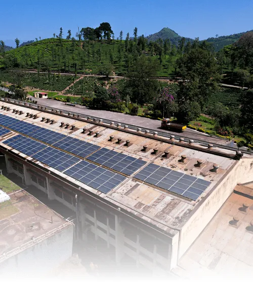 Dyme solar project on the ground