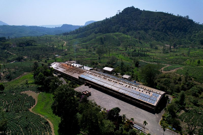 Dyme solar project on the ground