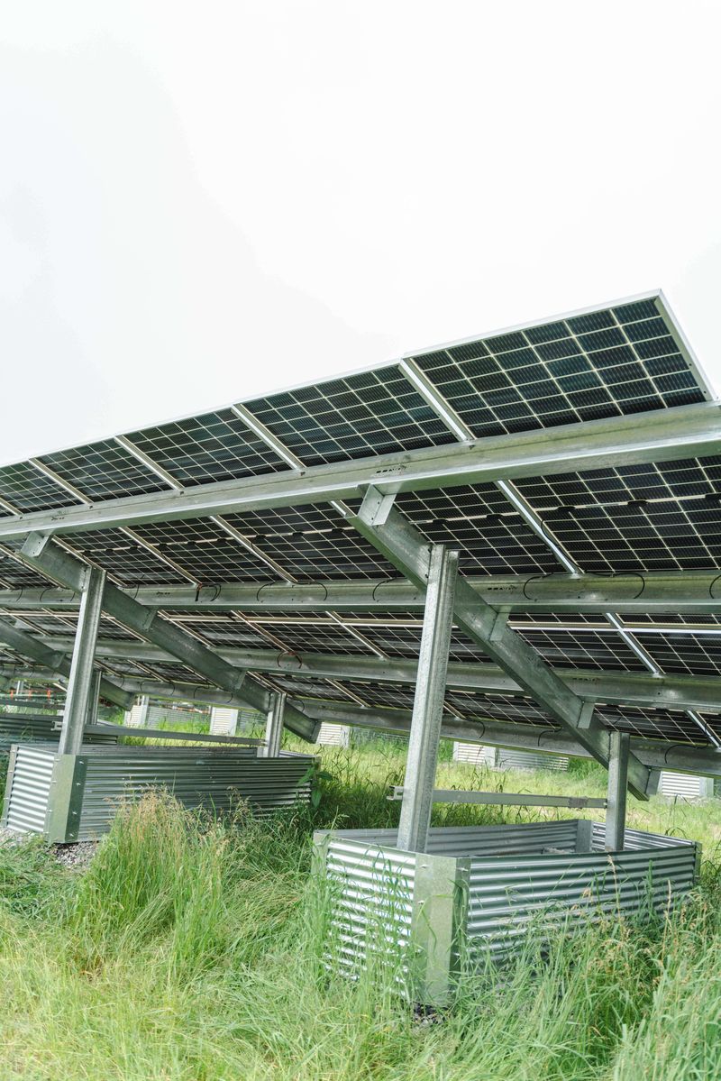 Dyme solar project on the ground