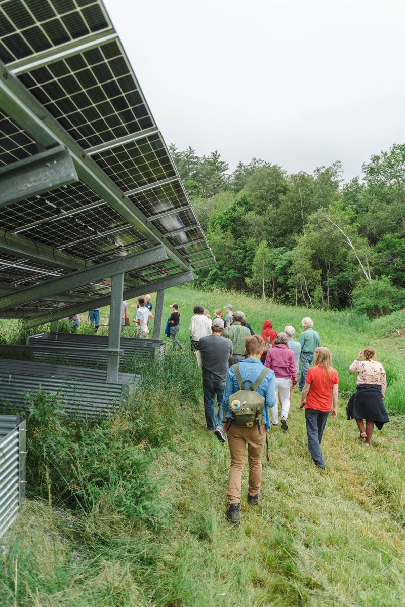 Dyme solar project on the ground