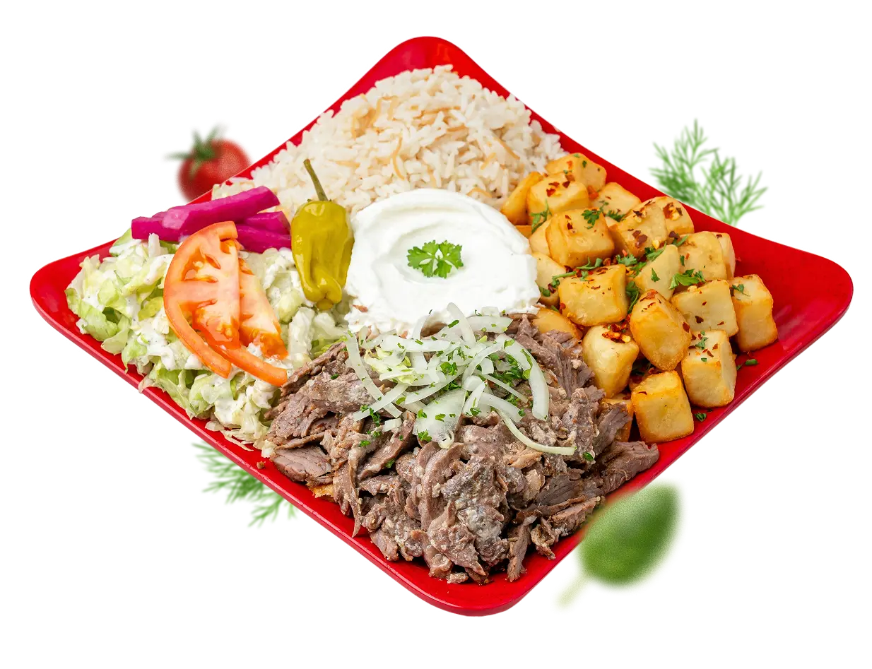 assiette pita shawarma