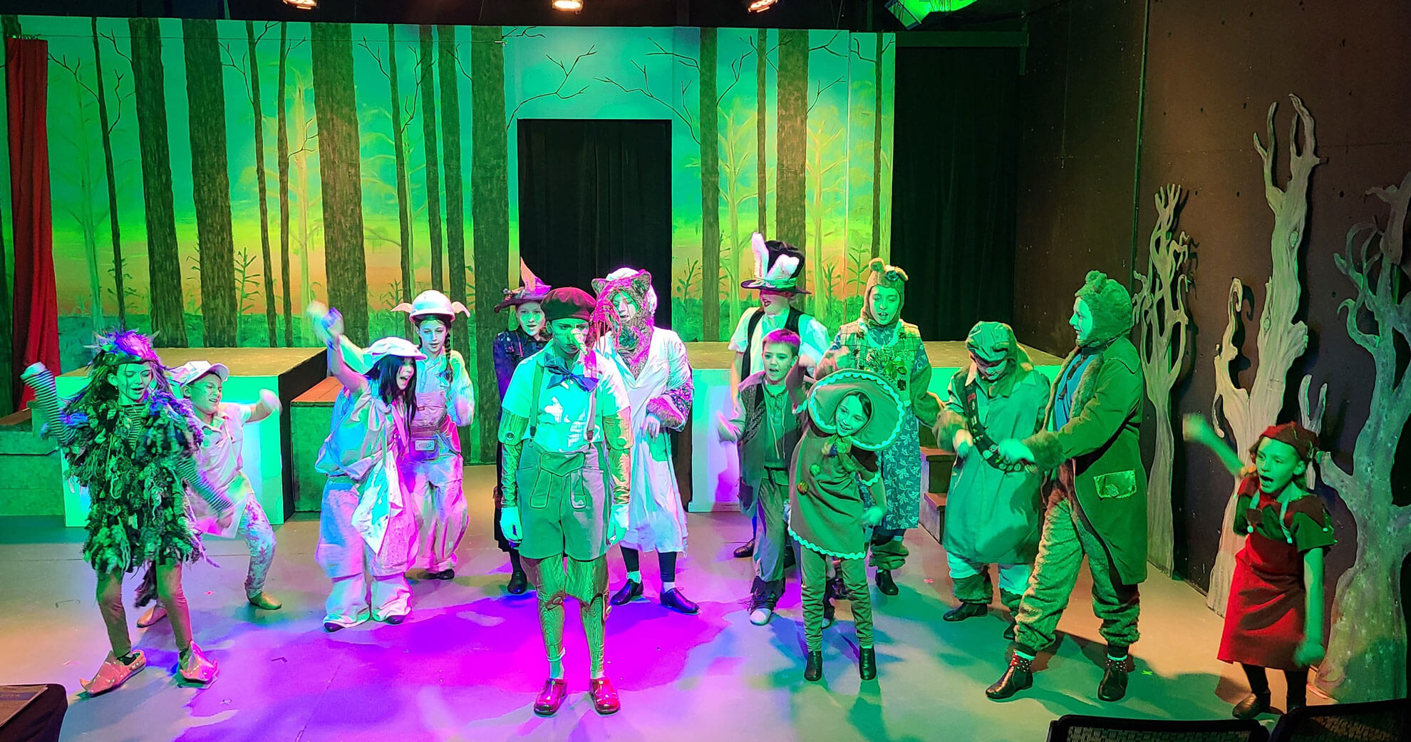 Shrek production at CenterStage Theatre Company