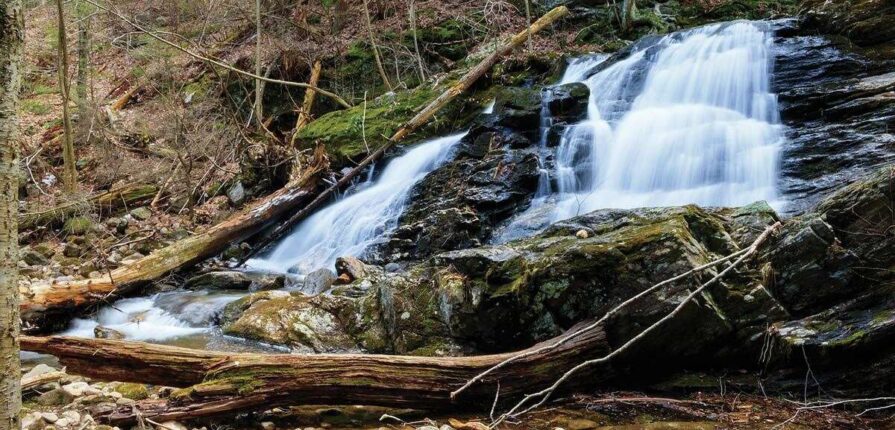 HCSS West family hike to McLean Wildlife Refuge Summit