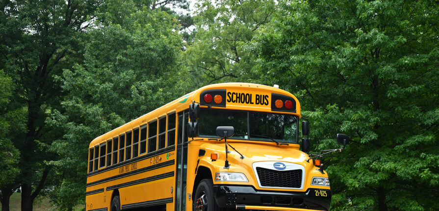 Bus Routes