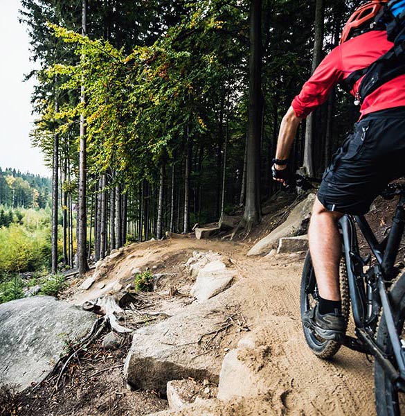 En person i rød skjorte sykler på en sti gjennom skogen, omgitt av steiner og trær.