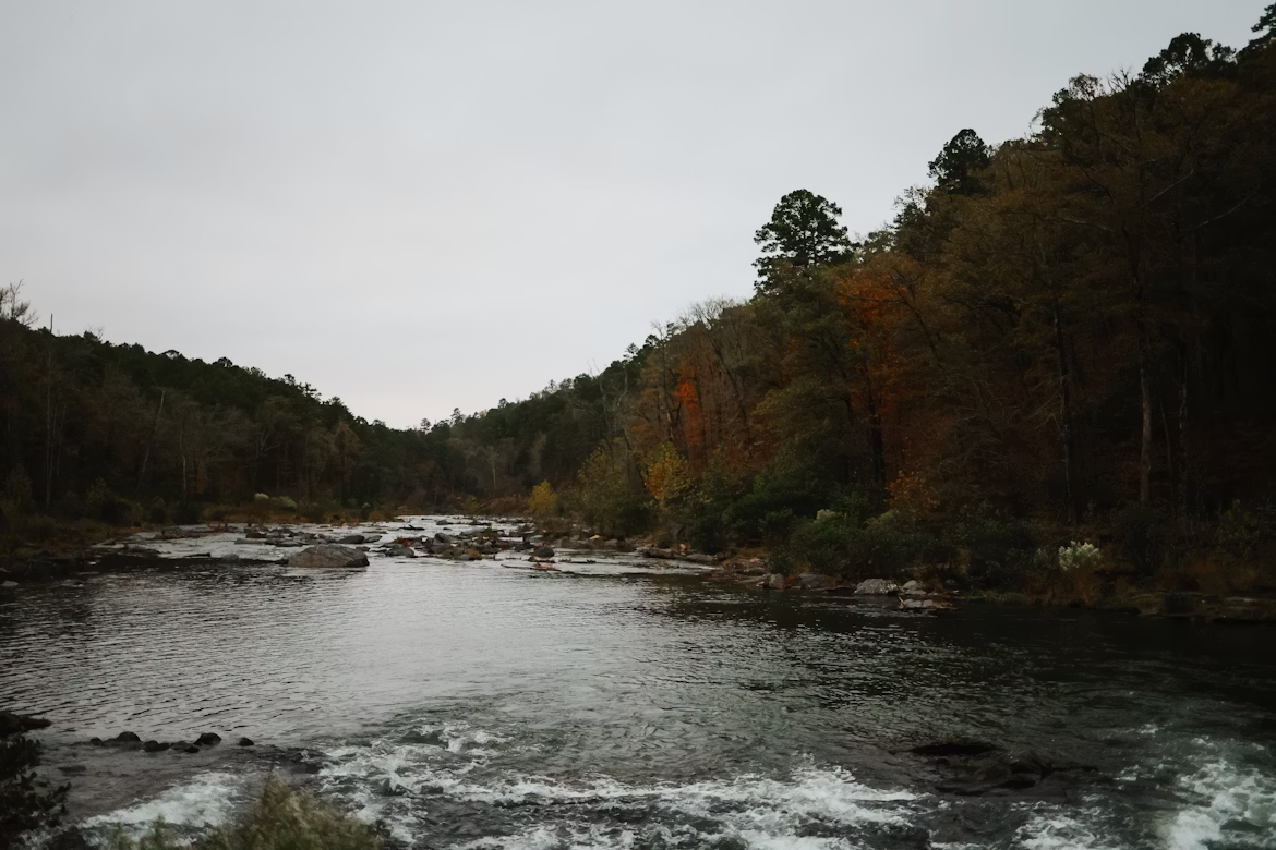 Pet memorial services in Oklahoma including cremation, burial, and in-home euthanasia