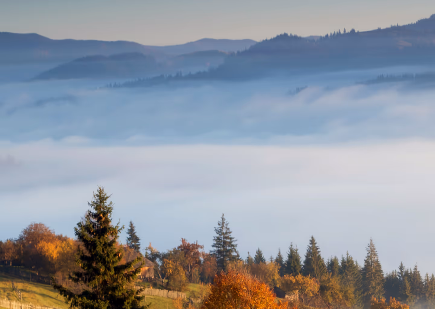 Autumn hillside with evergreen trees and fog covering the valley below, with distant misty mountains in the background.