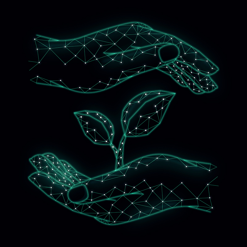 Digital illustration of two glowing hands holding and protecting a growing plant with two leaves.