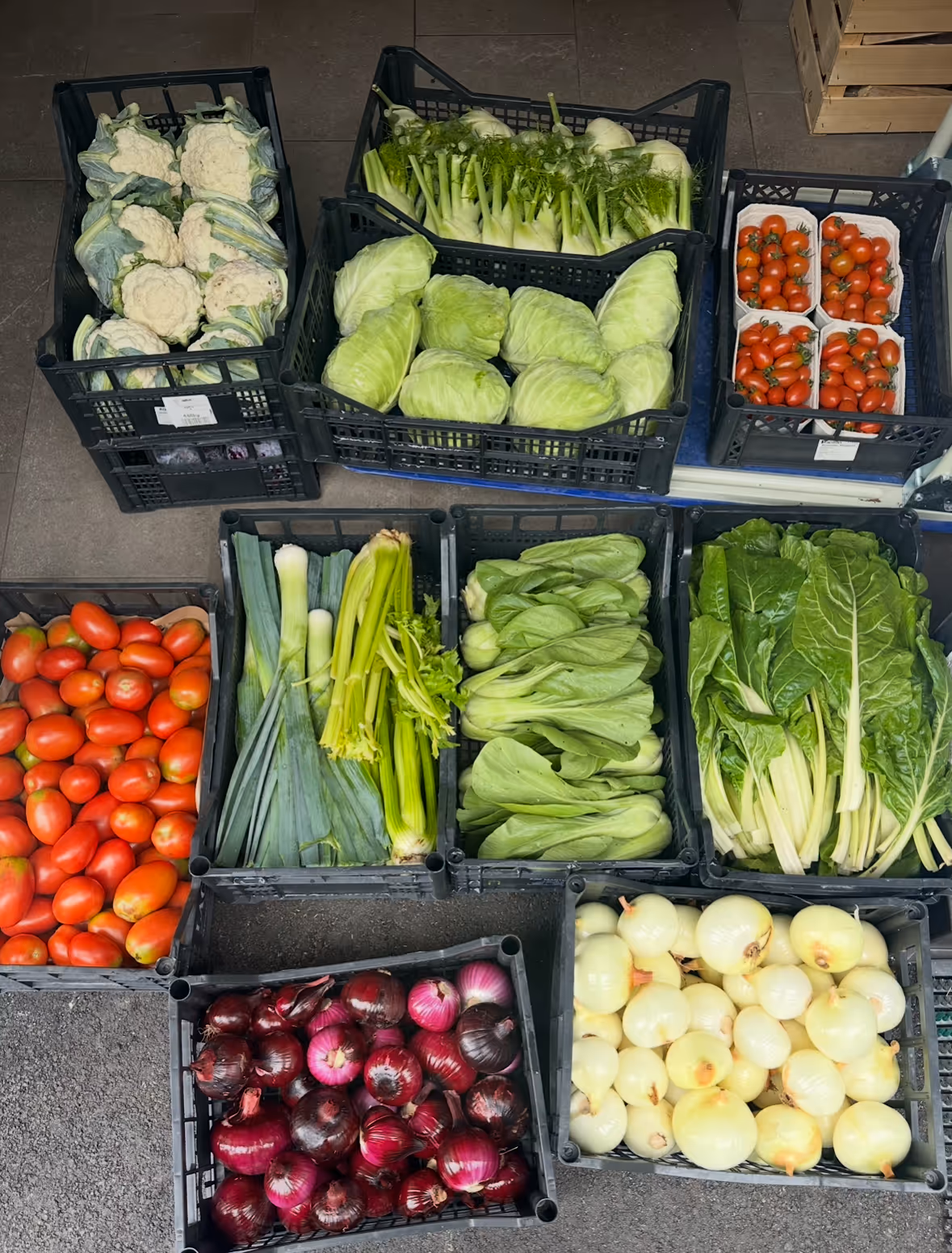 Verschiedene frische Gemüsesorten in Kisten, darunter Blumenkohl, Fenchel, Kohl, Kirschtomaten, Tomaten, Lauch, Sellerie, Pak Choi, Mangold, rote und weiße Zwiebeln.