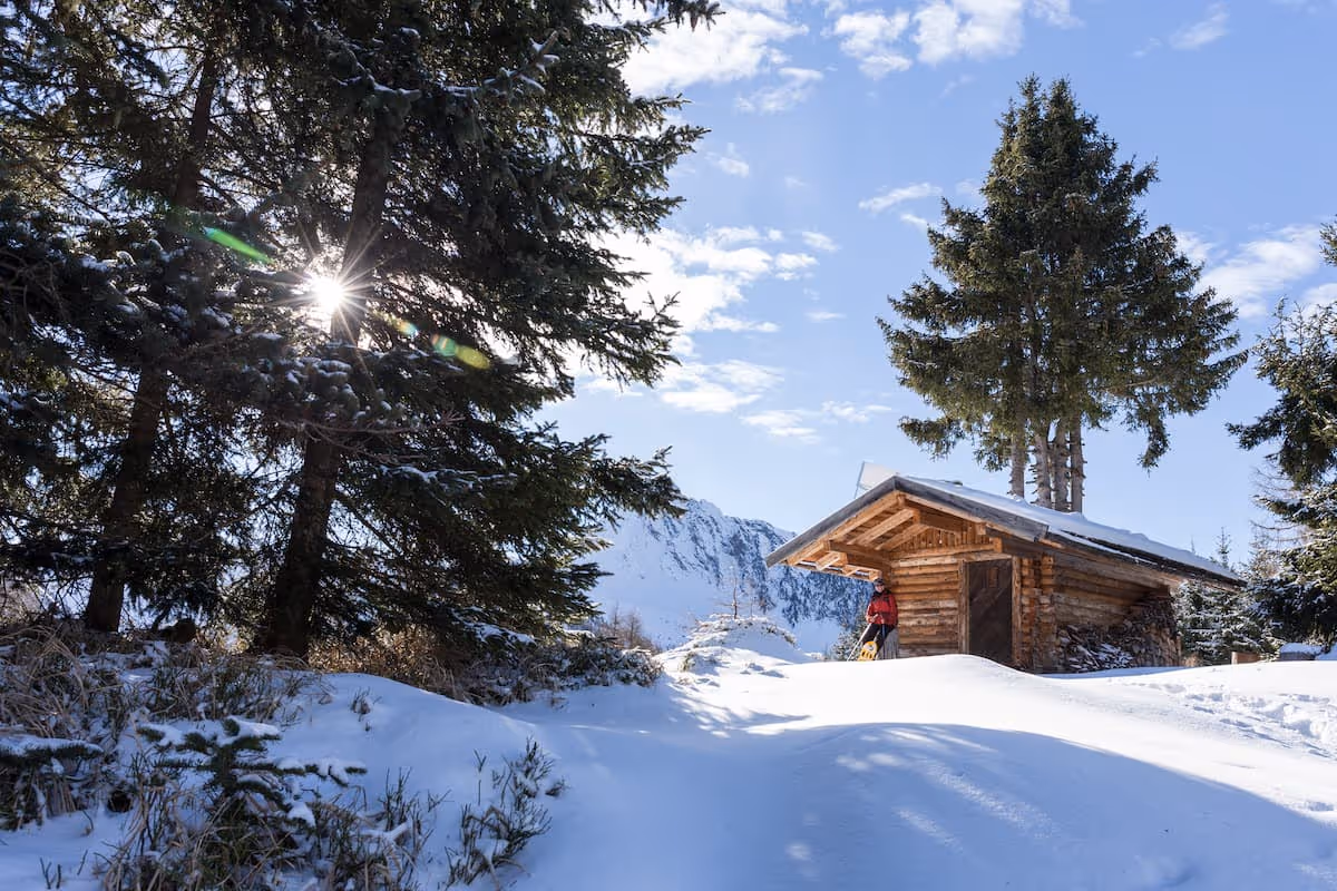 Eine Person mit roter Jacke steht vor einer Holzhütte im verschneiten Winterwald mit Bergen im Hintergrund.