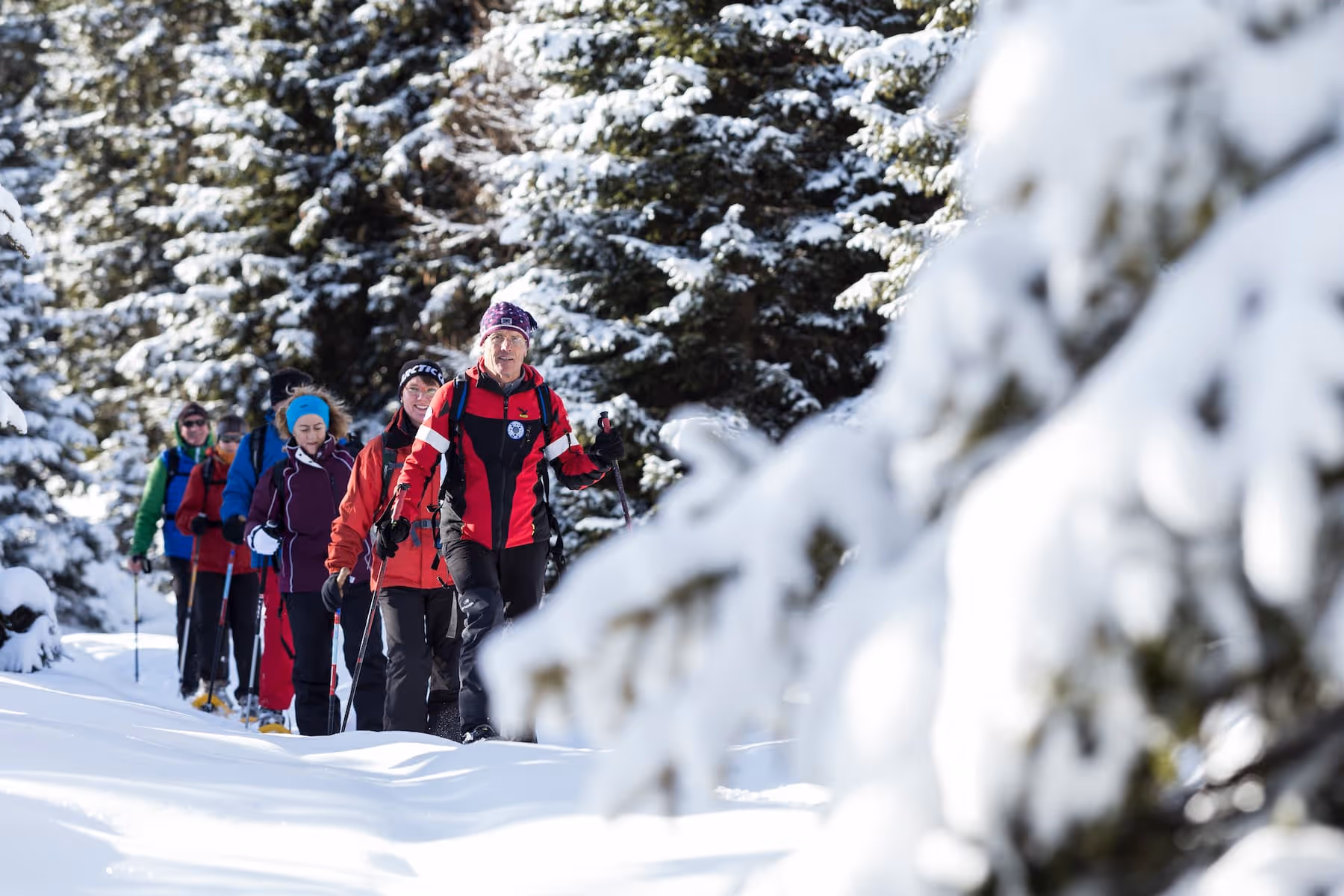 Gruppe von sechs Menschen wandert mit Stöcken durch schneebedeckten Wald.