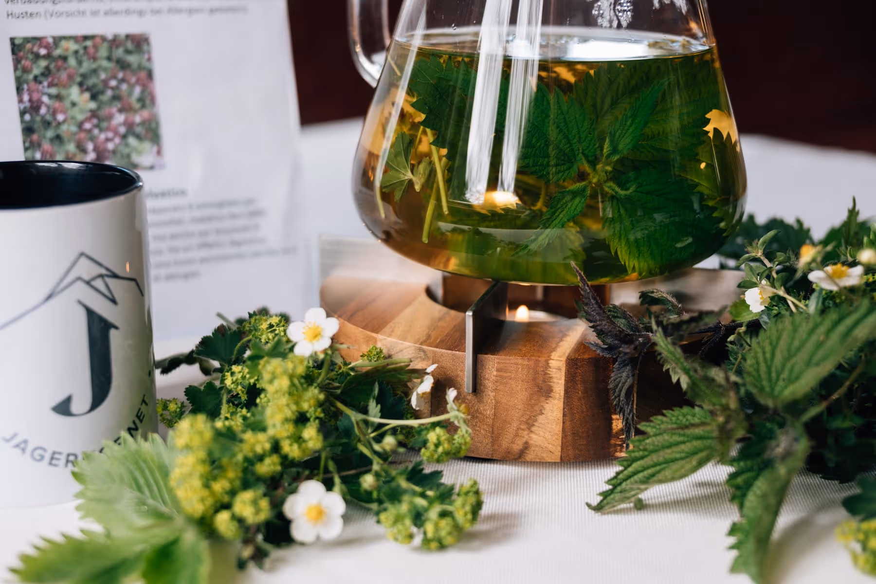Glasgefäß mit Kräutertee auf einem Holzwärmer mit Teelicht, umgeben von frischen Kräutern und blühenden Pflanzen.