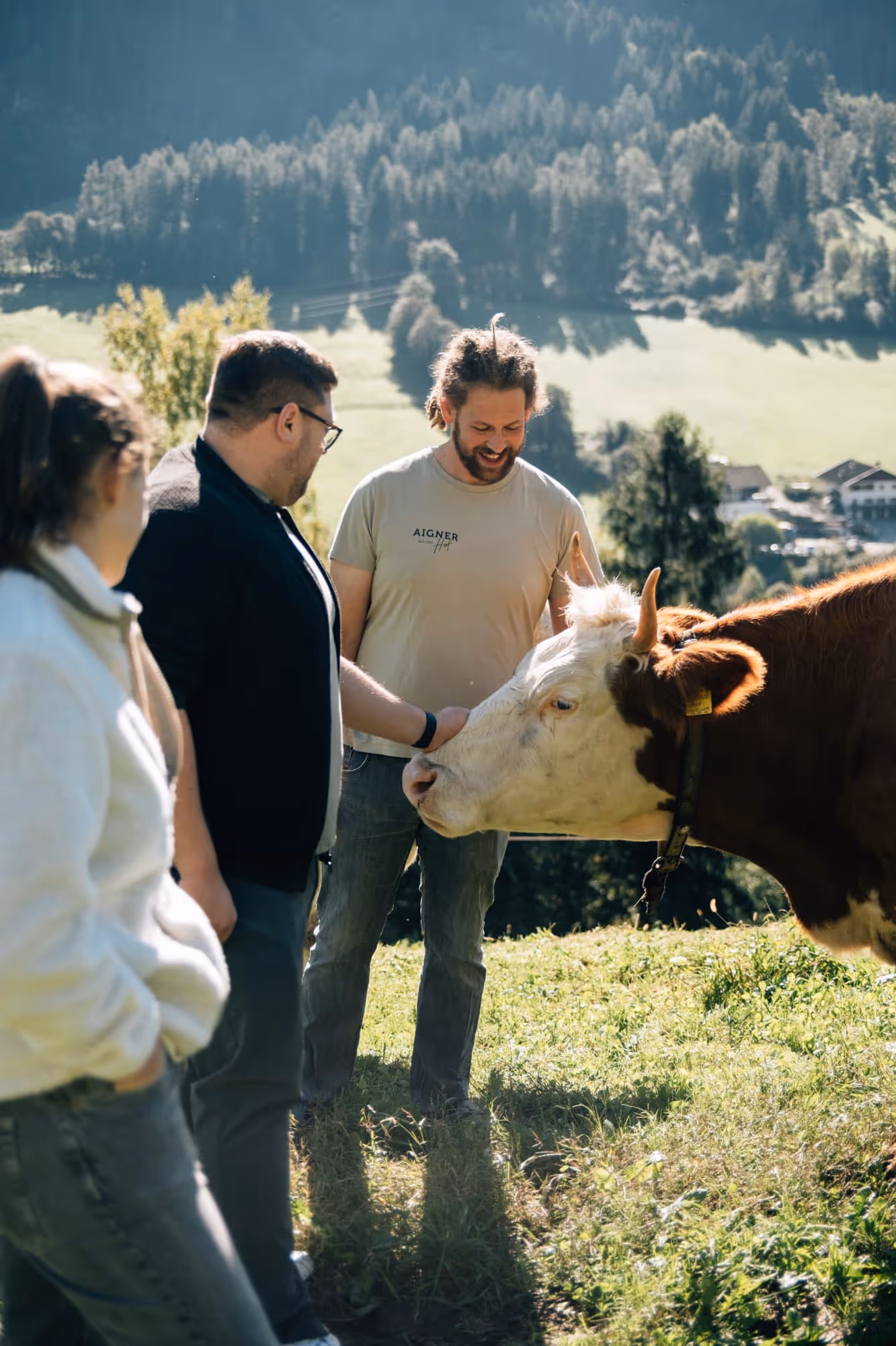 Drei Menschen streicheln auf einer sonnigen Weide eine braun-weiße Kuh vor bewaldeten Hügeln.