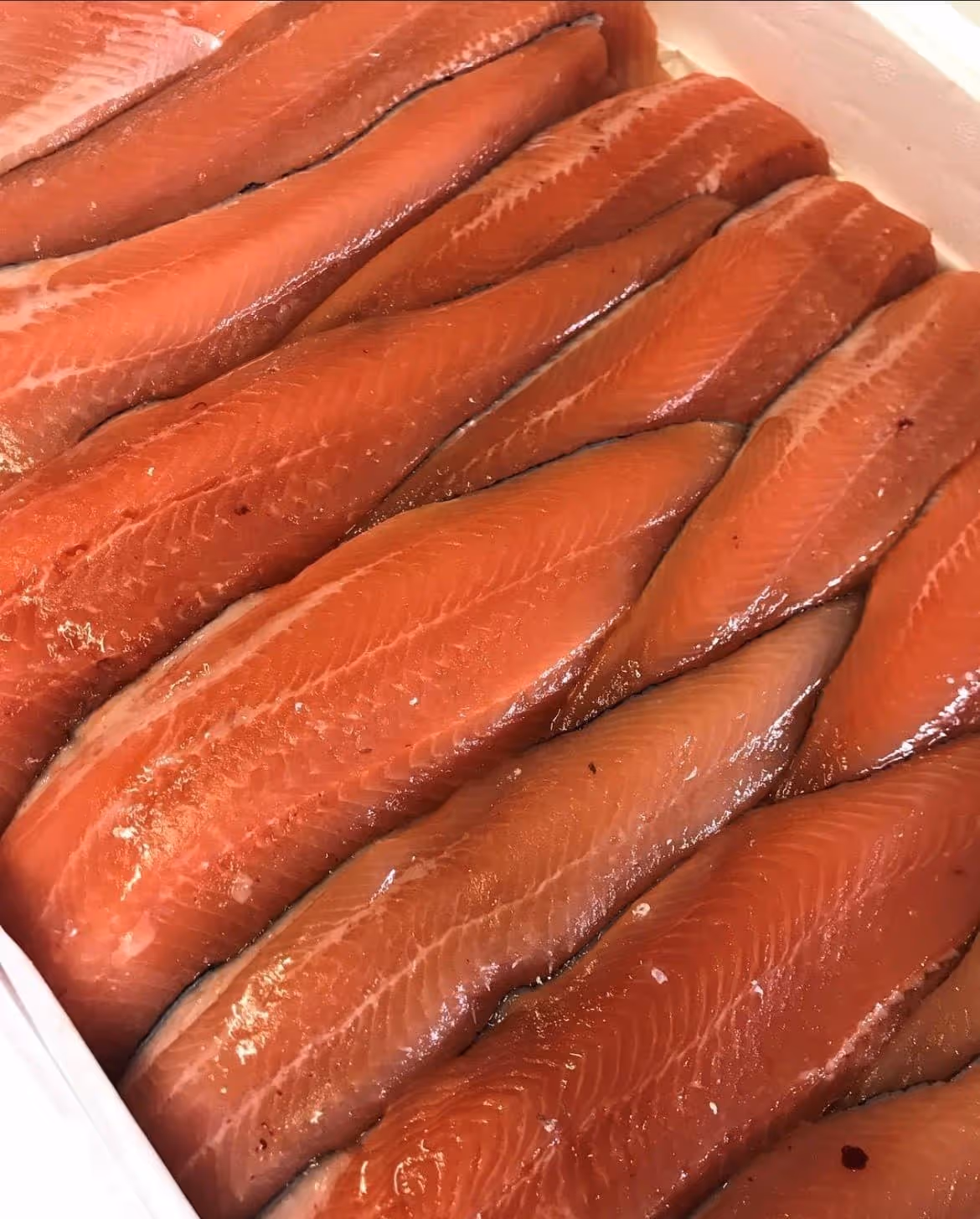 Frische, rote Lachsfilets in einer Packung nebeneinander angeordnet.