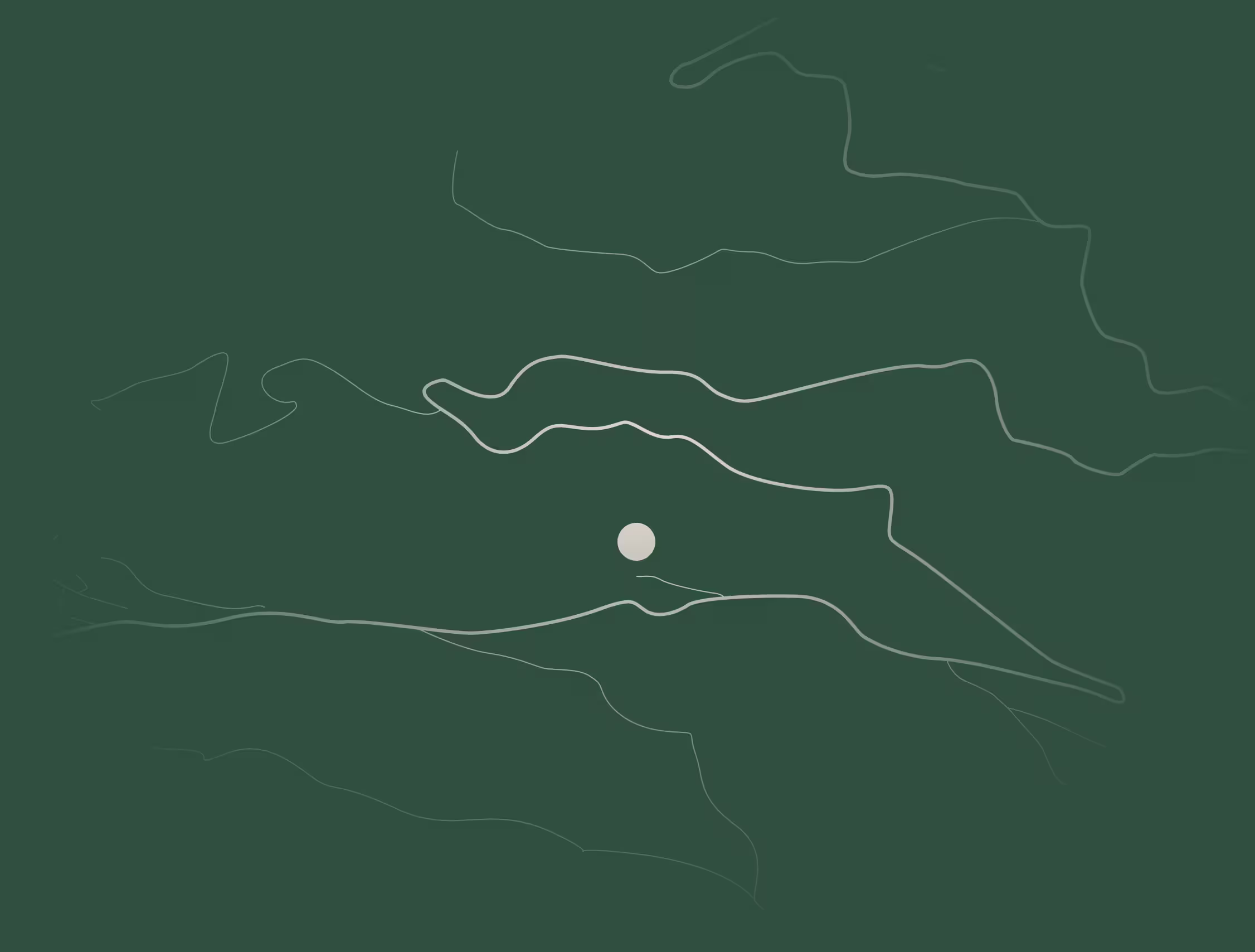 Abstrakte Karte mit gewundenen Linien und einem weißen Punkt auf dunkelgrünem Hintergrund.