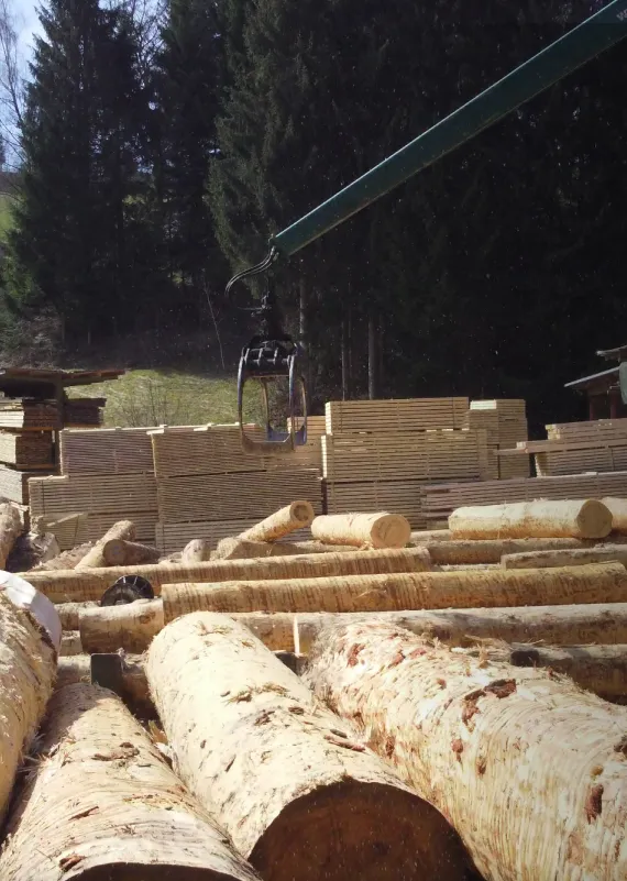 Sägewerk mit Baumstämmen. Vorbereitung für den Holzbau
