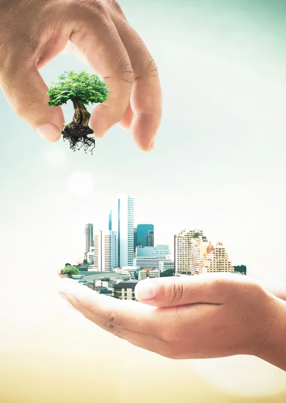 Hand hält Gebäude und eine weitere setzt einen Baum dazu. Nachhaltigkeit im Bausektor mit Holzbauweise.