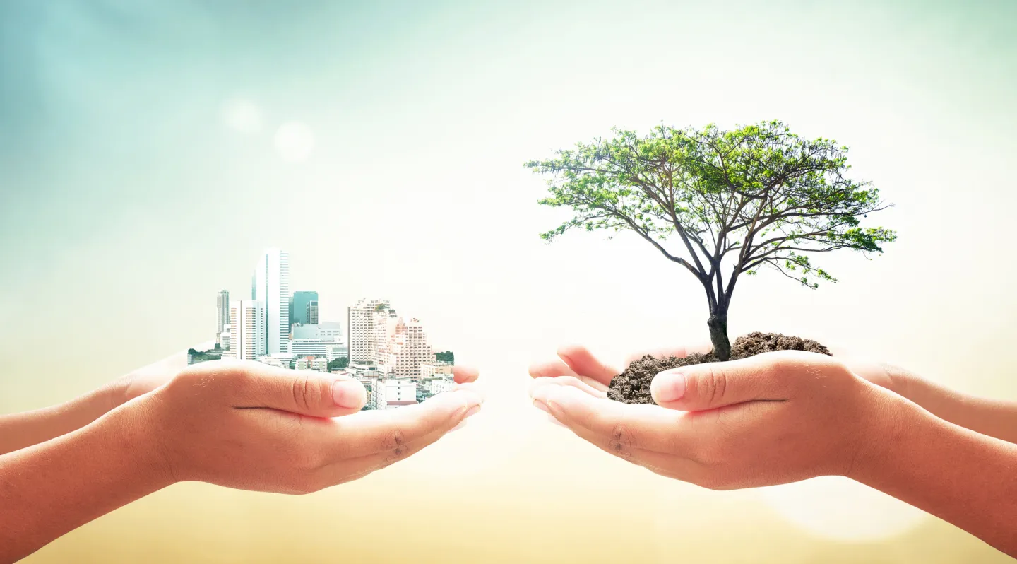 Zwei Hände, die einmal eine Stadt und einmal einen Baum halten. Caroline Wolf Immobilien