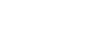 Norfin logotype