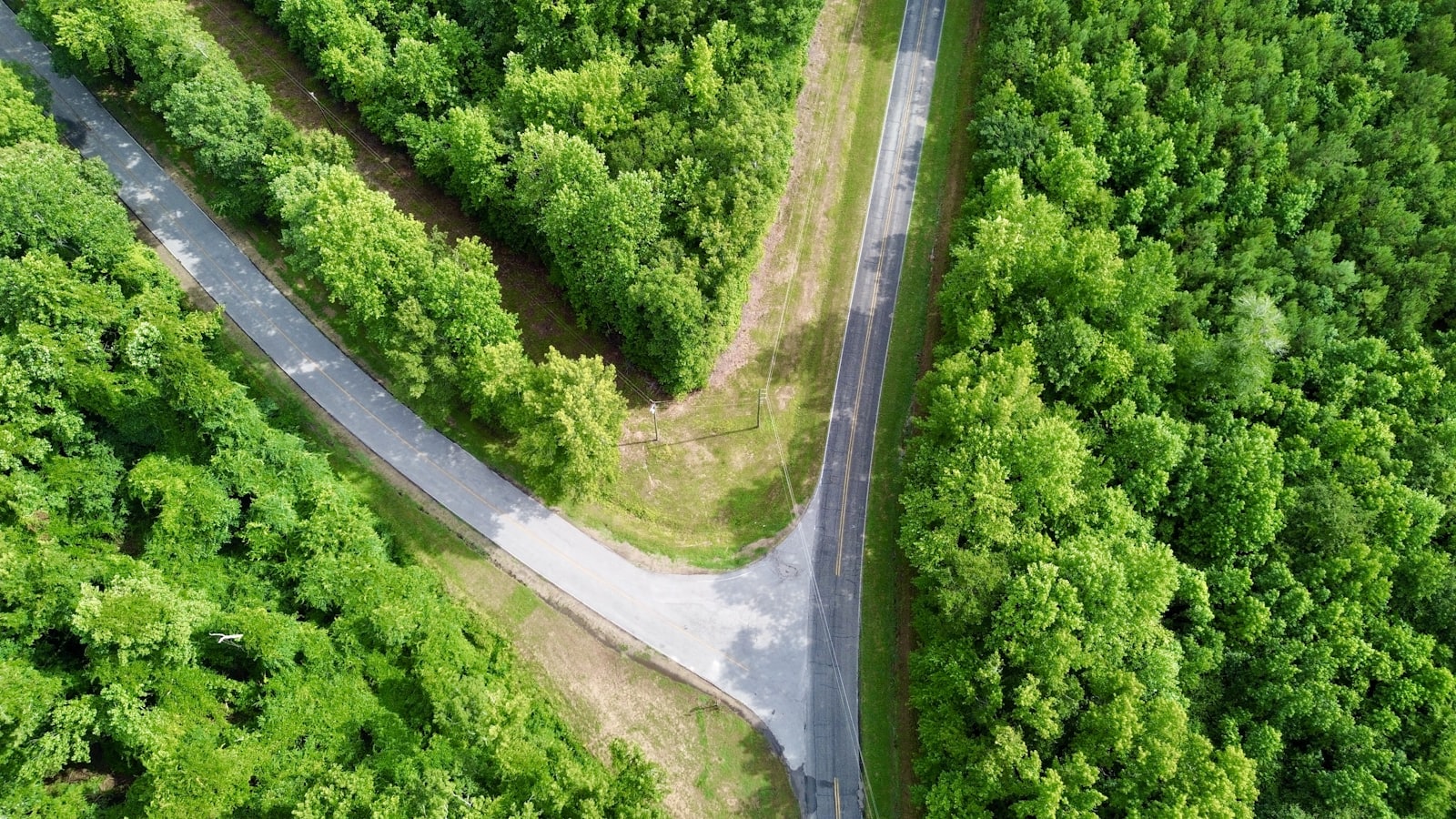 Vue aérienne d'une route qui se sépare en deux dans une forêt