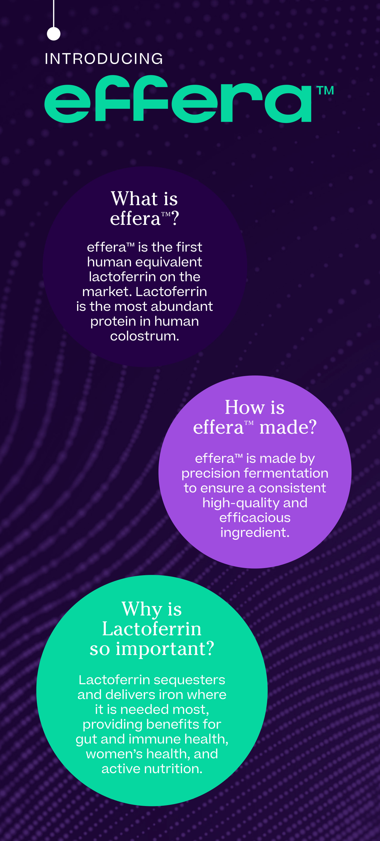Understanding effera™: The Revolutionary Human Lactoferrin