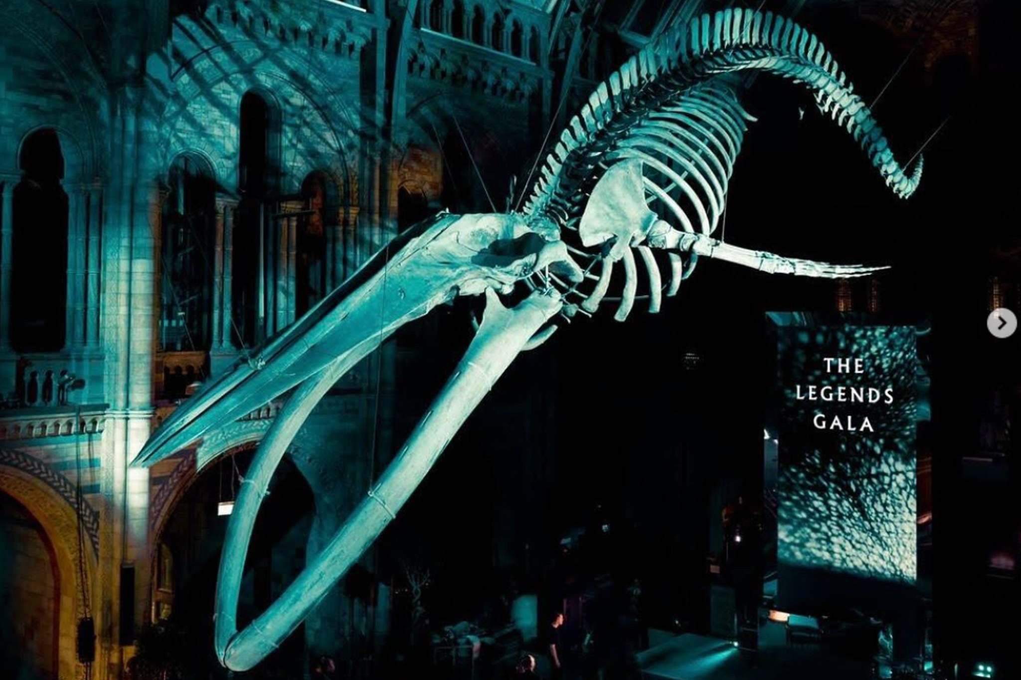 Large whale skeleton suspended inside a dimly lit museum hall with gothic architecture, with a sign reading 'THE LEGENDS GALA' illuminated nearby.