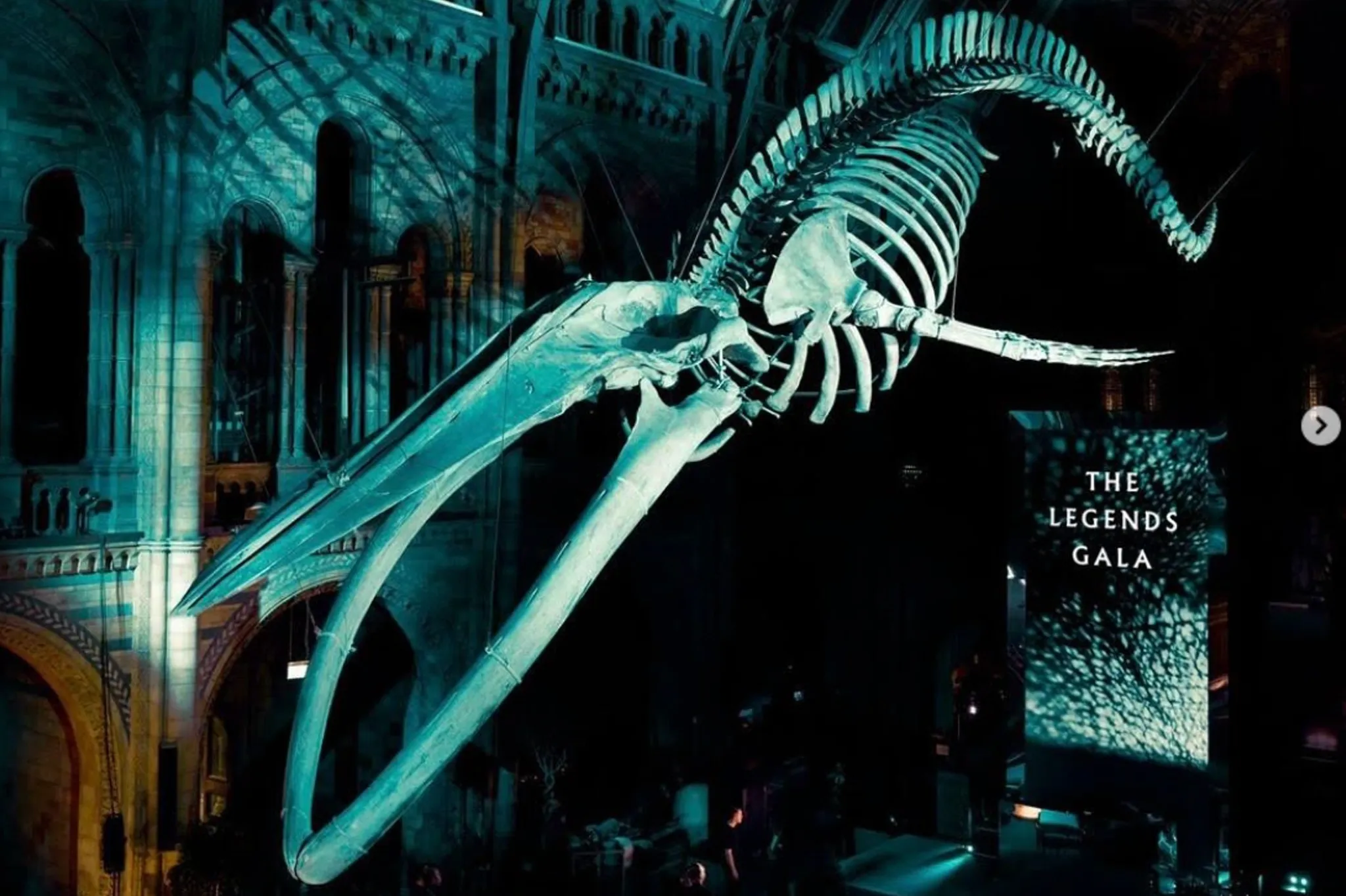 Large whale skeleton suspended inside a dimly lit museum hall with gothic architecture, with a sign reading 'THE LEGENDS GALA' illuminated nearby.