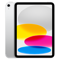 iPad Standard