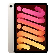 iPad Mini