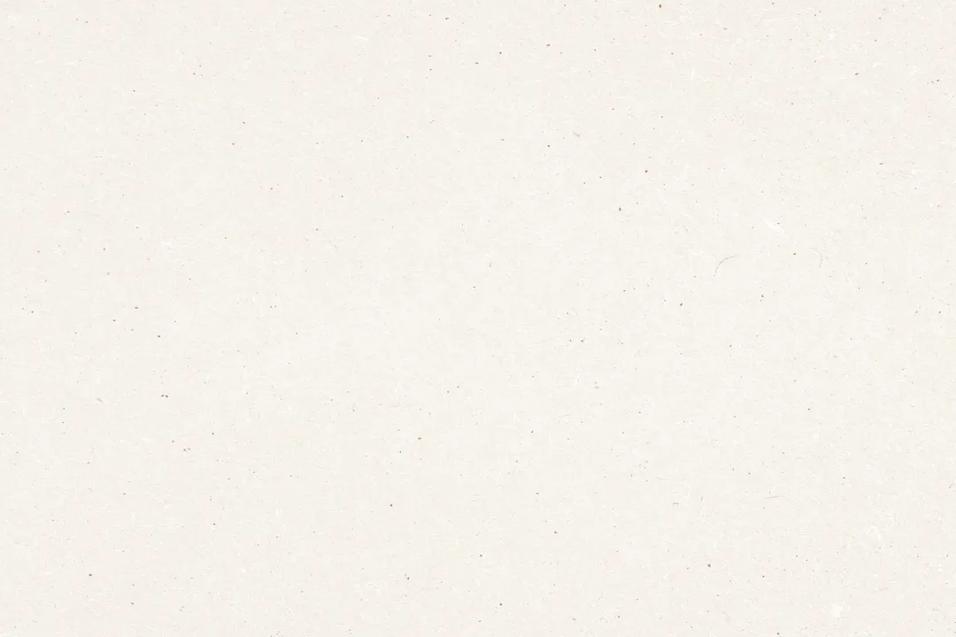 Plain beige textured paper background with small brown specks.