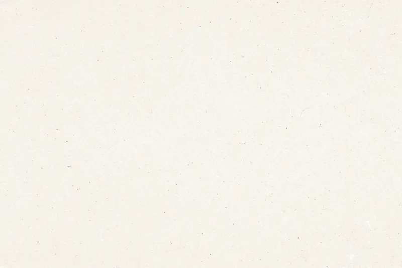 Plain beige textured paper background with small brown specks.