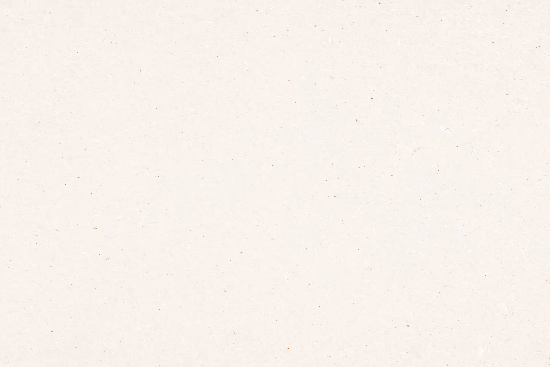 Plain beige textured paper background with small brown specks.