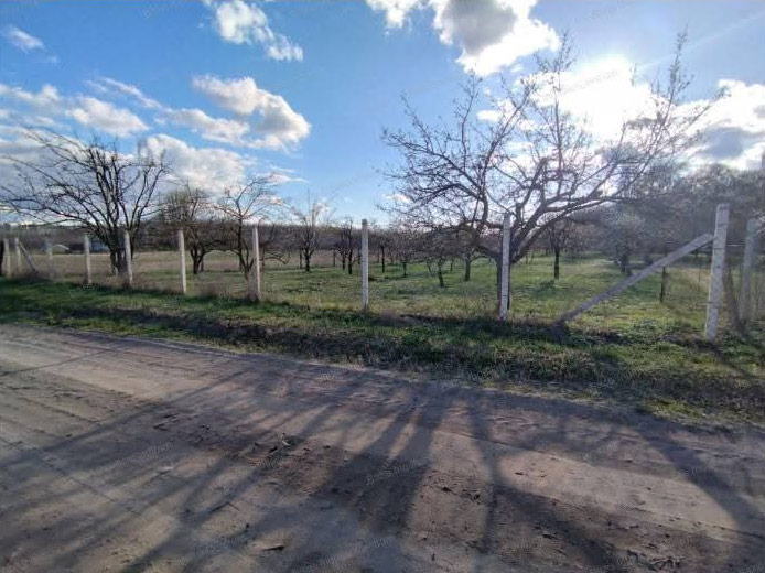 Property Detail Thumbnail