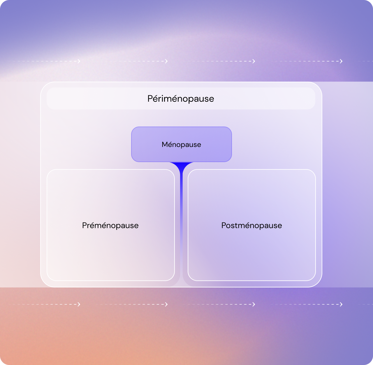 Schéma explicatif de la périménopause