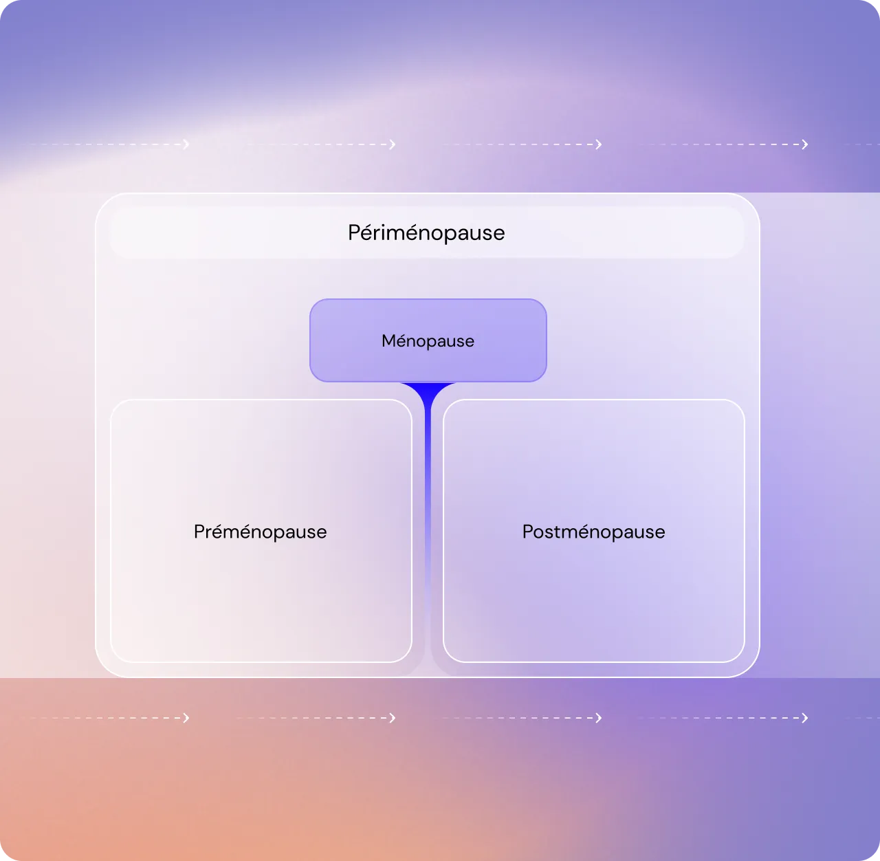Schéma explicatif de la périménopause