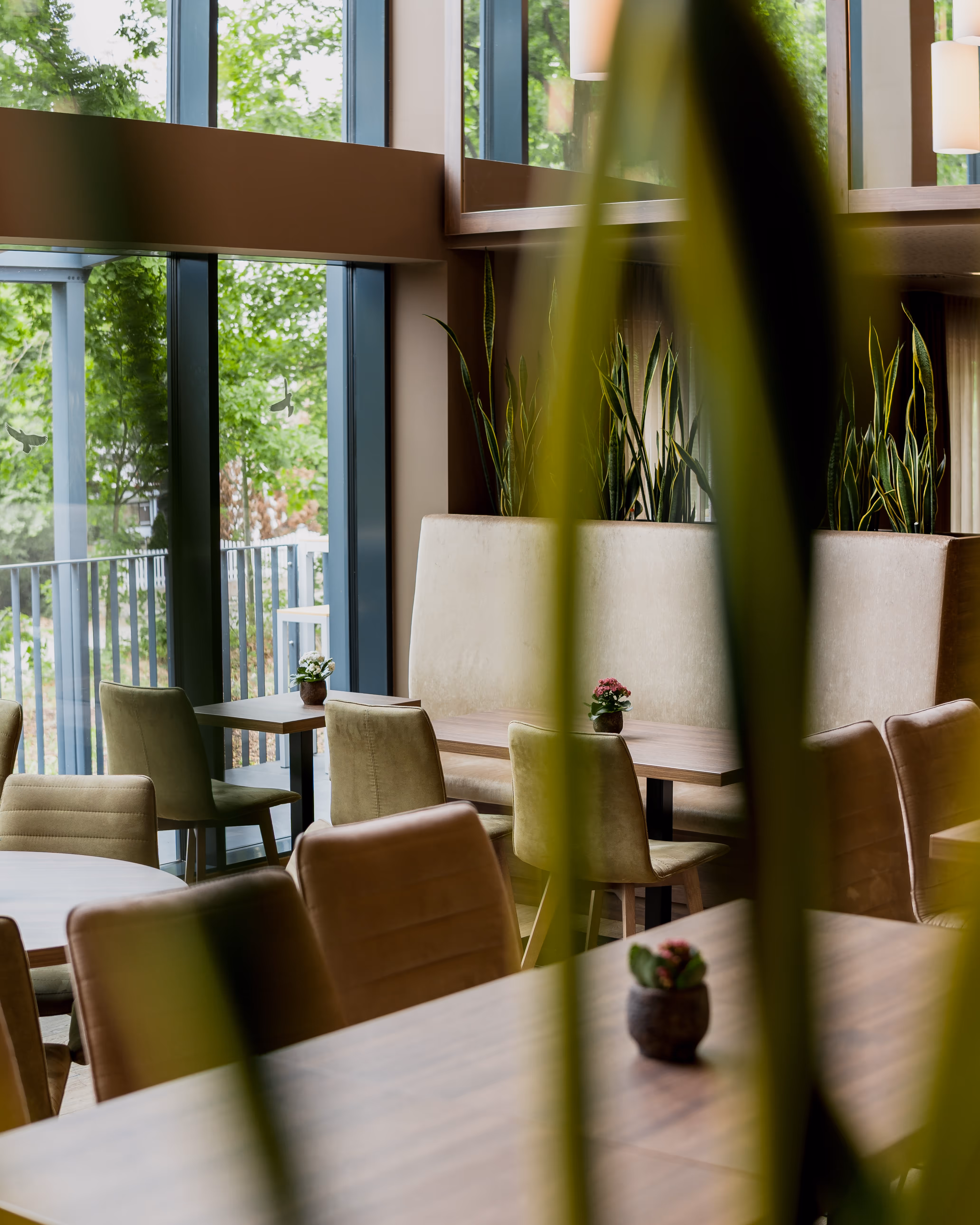 Gemütlicher Essbereich mit gepolsterten Stühlen, Holztischen, Pflanzen und großen Fenstern mit Blick ins Grüne.